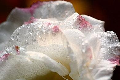 网易《漫威争锋》实机首曝 登陆Steam＆Epic